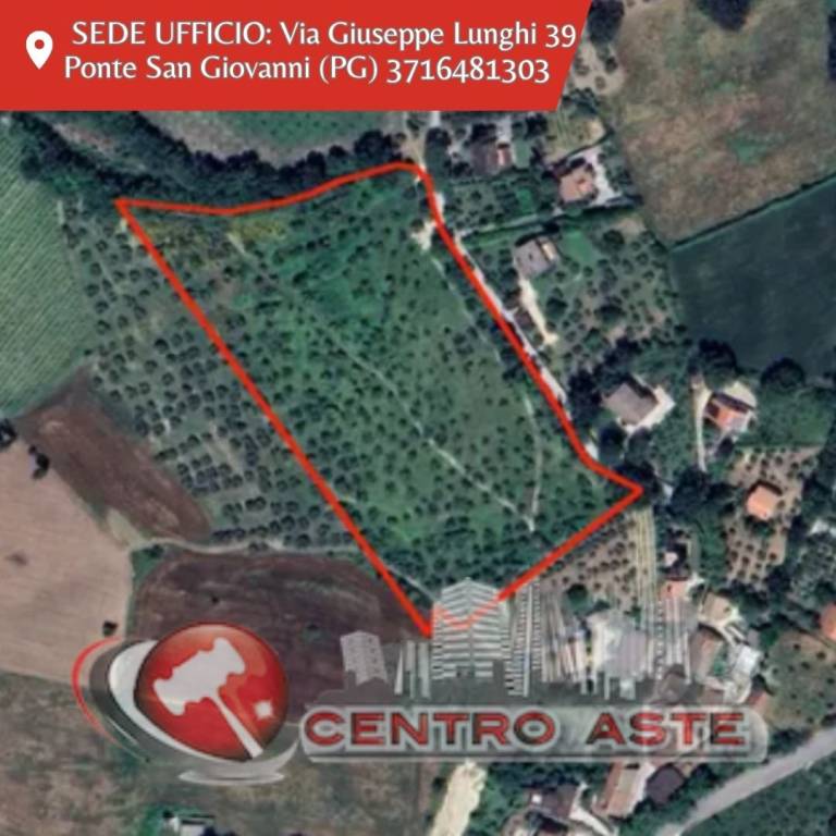 casa indipendente in vendita a Montefalco