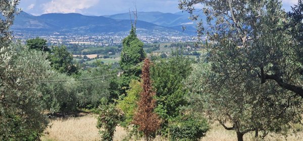 casale in vendita a Montefalco in zona Fratta