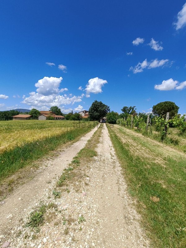 casale in vendita a Montefalco in zona Casale