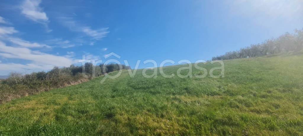 casa indipendente in vendita a Montefalco in zona Cerrete