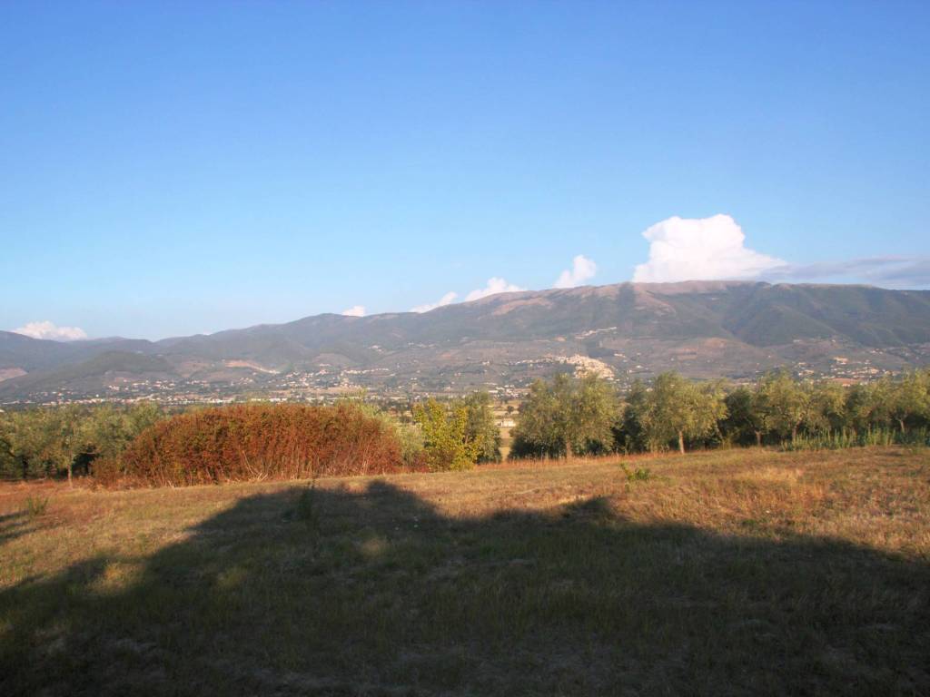 terreno agricolo in vendita a Montefalco