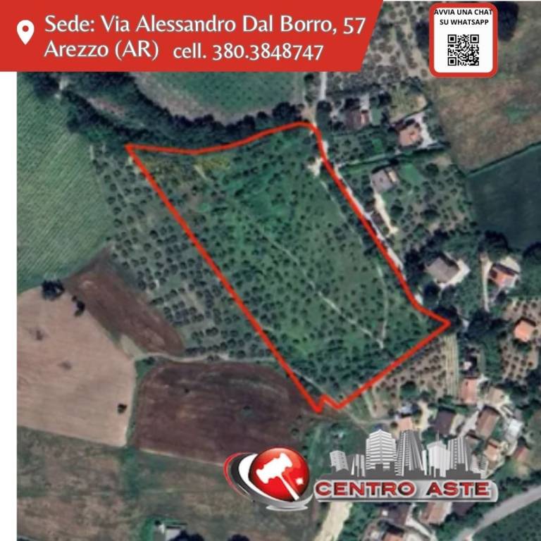 terreno in vendita a Montefalco