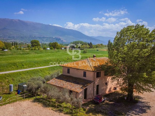 casa indipendente in vendita a Montefalco in zona Fratta