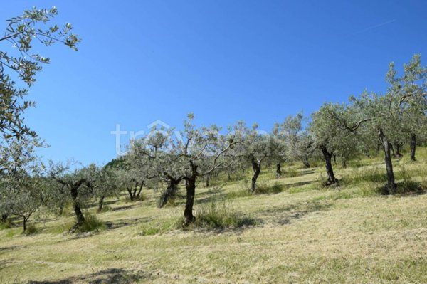 terreno in vendita a Montefalco