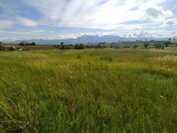 terreno in vendita a Montefalco in zona Fratta