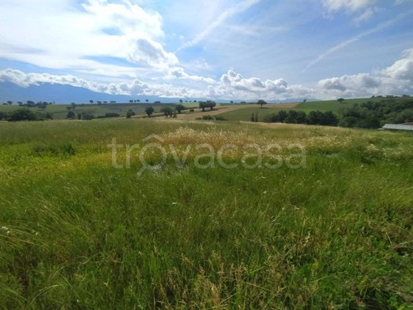 terreno in vendita a Montefalco in zona Fratta