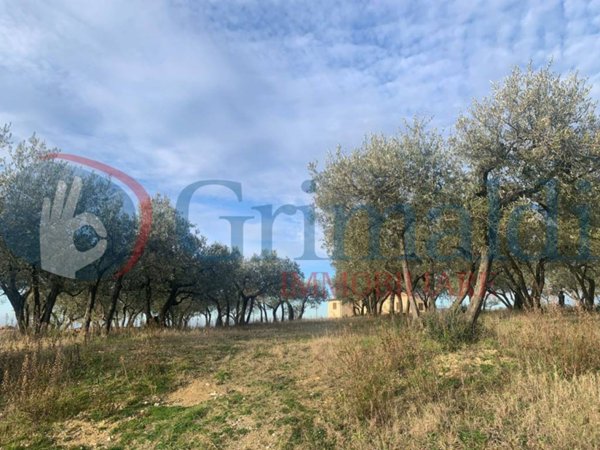 terreno in vendita a Montefalco in zona Cerrete