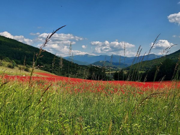 appartamento in vendita a Monteleone di Spoleto