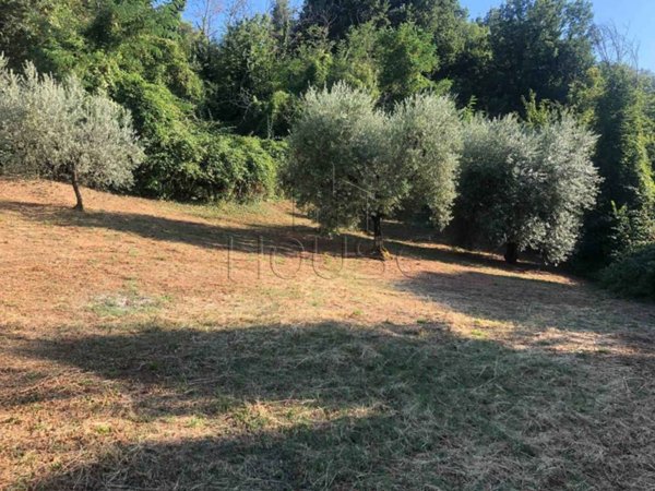 casa indipendente in vendita a Monte Santa Maria Tiberina in zona Lippiano