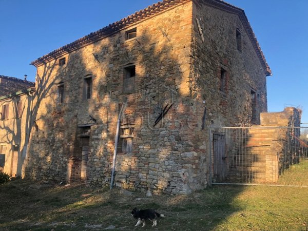 esavano in vendita a Monte Santa Maria Tiberina