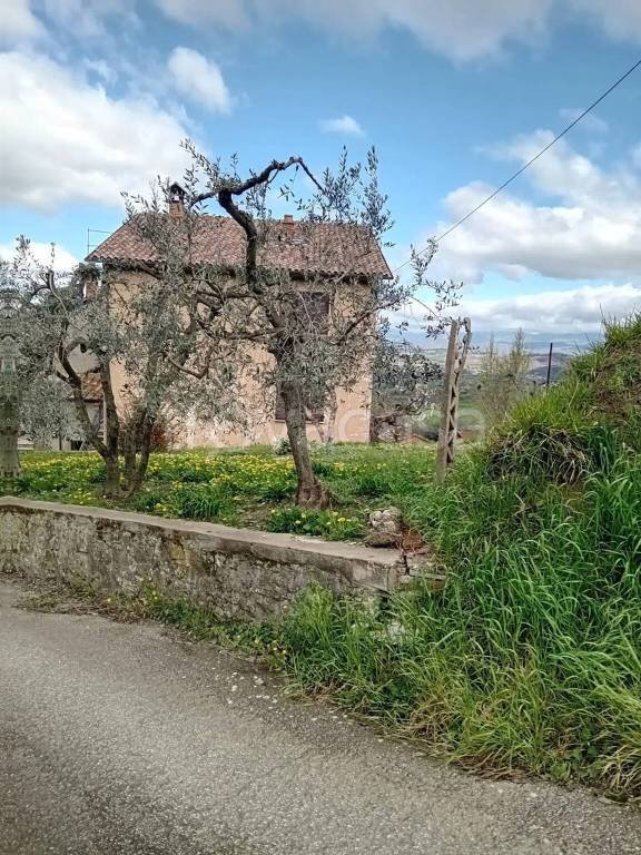 casa indipendente in vendita a Monte Santa Maria Tiberina in zona Lippiano