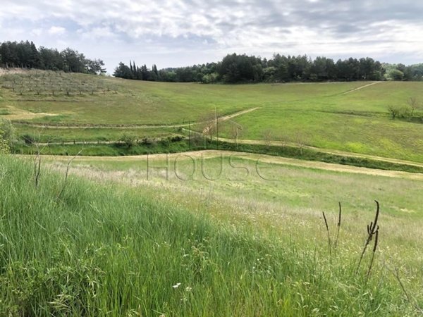 appartamento in vendita a Monte Santa Maria Tiberina