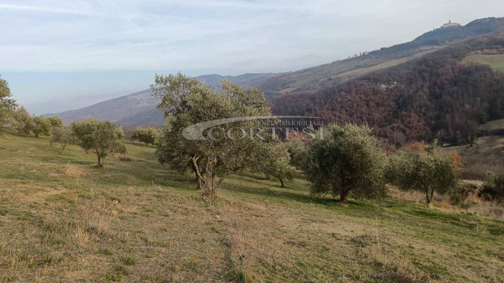 villa in vendita a Monte Santa Maria Tiberina