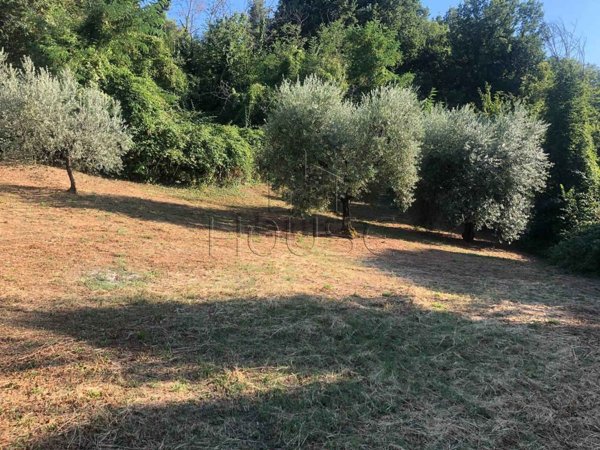 appartamento in vendita a Monte Santa Maria Tiberina in zona Lippiano
