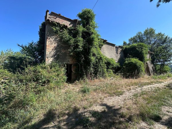 esavano in vendita a Monte Santa Maria Tiberina