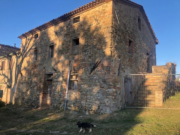 esavano in vendita a Monte Santa Maria Tiberina