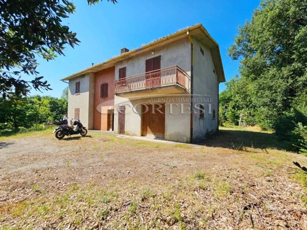 appartamento in vendita a Montone