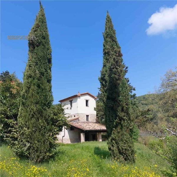 casa indipendente in vendita a Montone