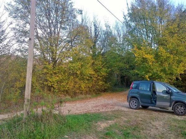 appartamento in vendita a Montone