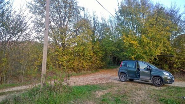 appartamento in vendita a Montone