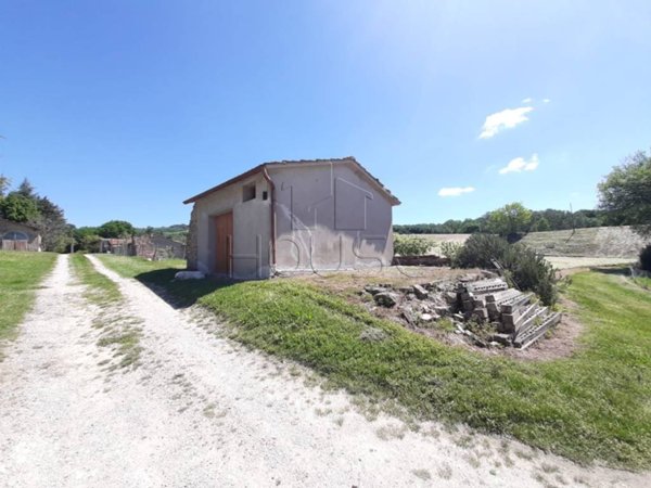 terreno agricolo in vendita a Montone