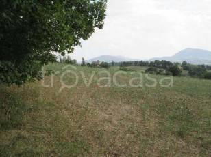 appartamento in vendita a Montone