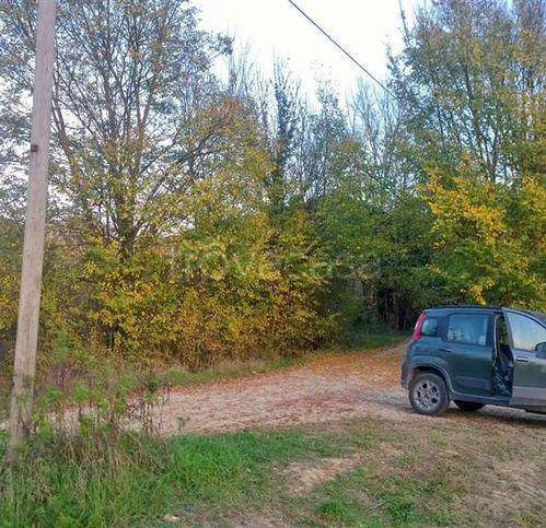 casa indipendente in vendita a Montone