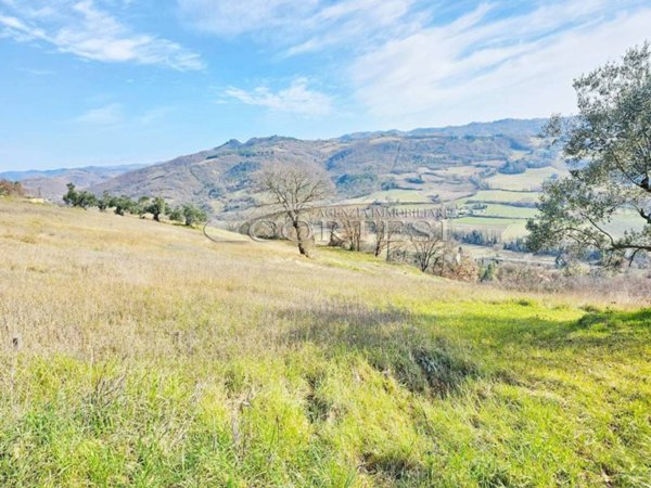 terreno agricolo in vendita a Montone