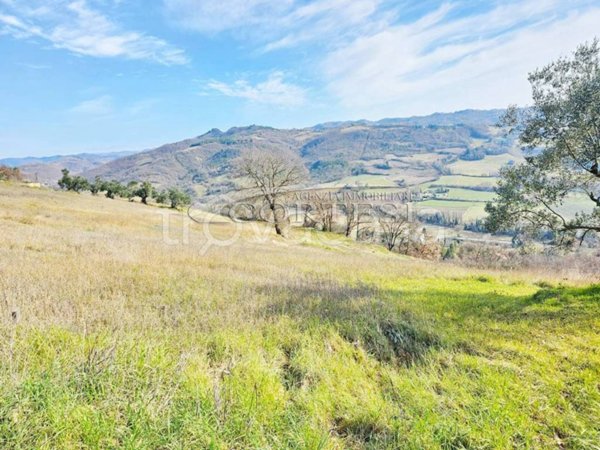 casa indipendente in vendita a Montone