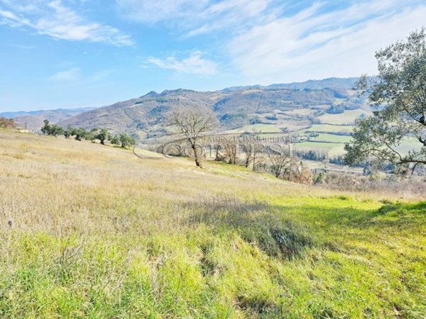 casa indipendente in vendita a Montone