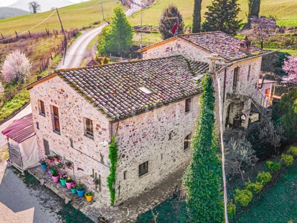 negozio in vendita a Montone