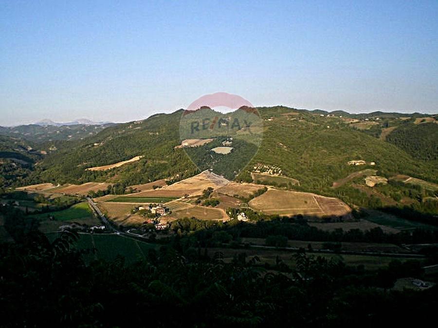 azienda agricola in vendita a Montone