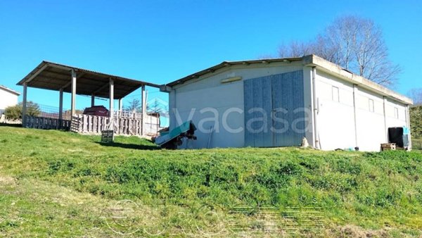 capannone in vendita a Montone