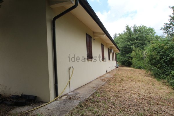 pentavano in vendita a Montone