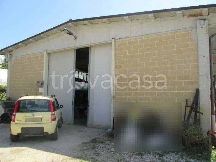 appartamento in vendita a Montone