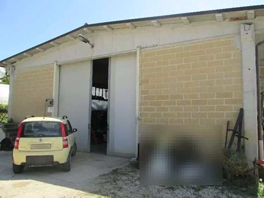 appartamento in vendita a Montone