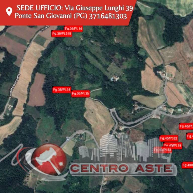 casa indipendente in vendita a Montone