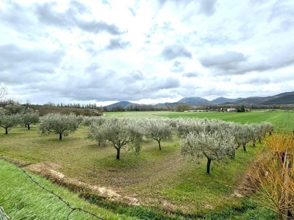 terreno agricolo in vendita a Montone