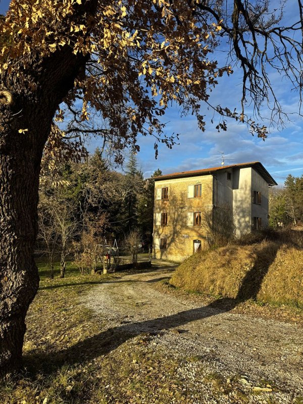 casa indipendente in vendita a Montone