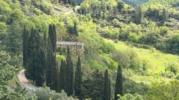 casa indipendente in vendita a Montone
