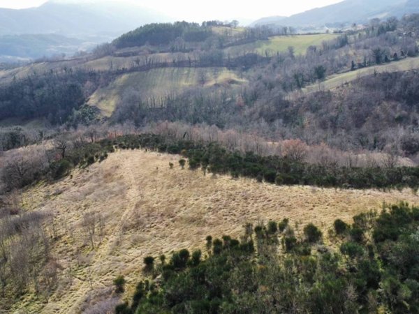 terreno agricolo in vendita a Nocera Umbra