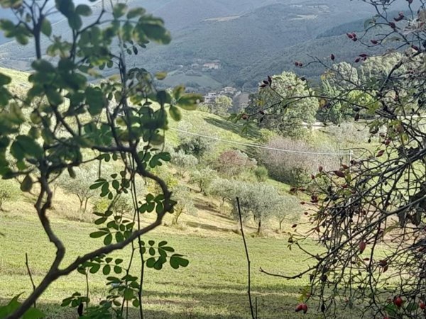 terreno agricolo in vendita a Nocera Umbra in zona Largnano