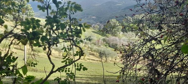 terreno agricolo in vendita a Nocera Umbra in zona Largnano