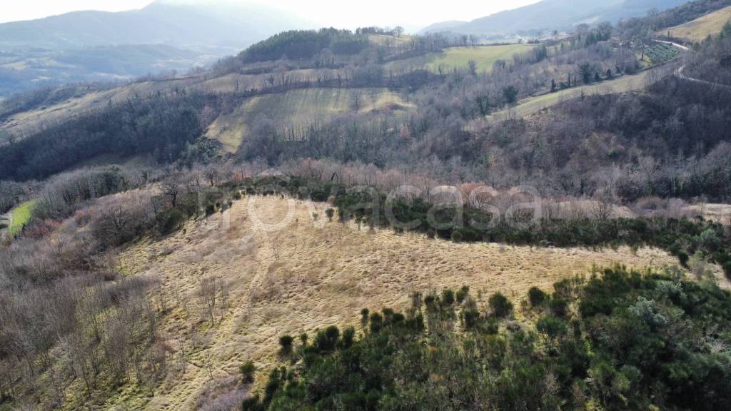 terreno agricolo in vendita a Nocera Umbra