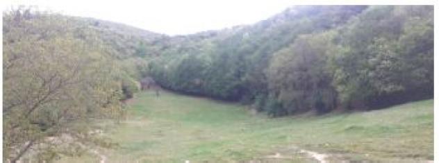 terreno agricolo in vendita a Nocera Umbra