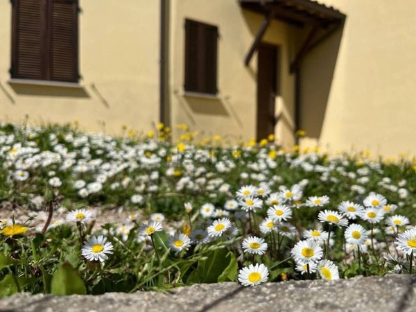 casa indipendente in vendita a Nocera Umbra