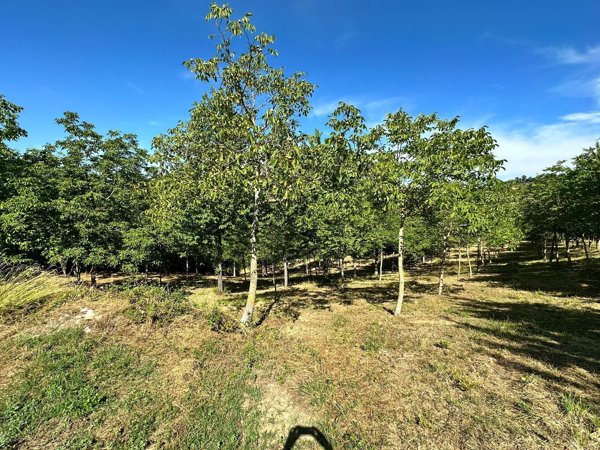 appartamento in vendita a Nocera Umbra