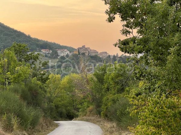 terreno agricolo in vendita a Nocera Umbra