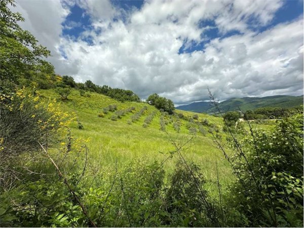 terreno agricolo in vendita a Nocera Umbra in zona Largnano
