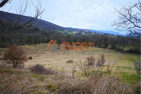 terreno agricolo in vendita a Nocera Umbra
